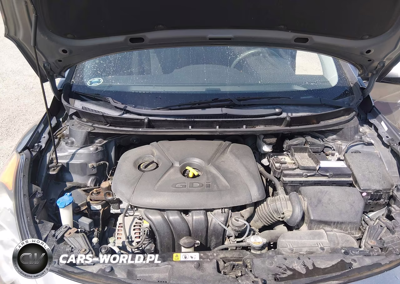 2016 Hyundai Elantra Gt VIN:KMHD35LH4GU305958 - 10