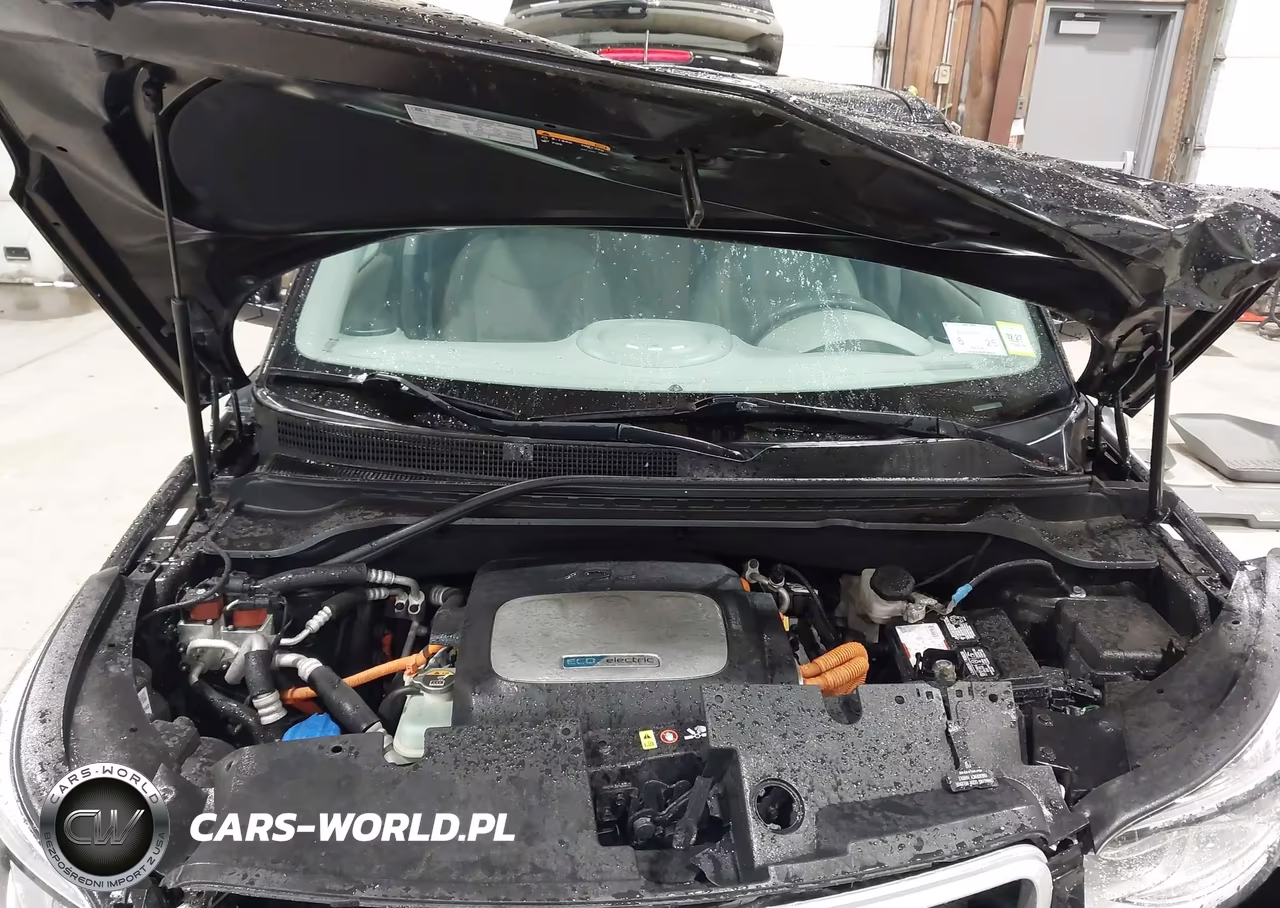 2017 Kia Soul Ev VIN:KNDJP3AE0H7025253 - 10