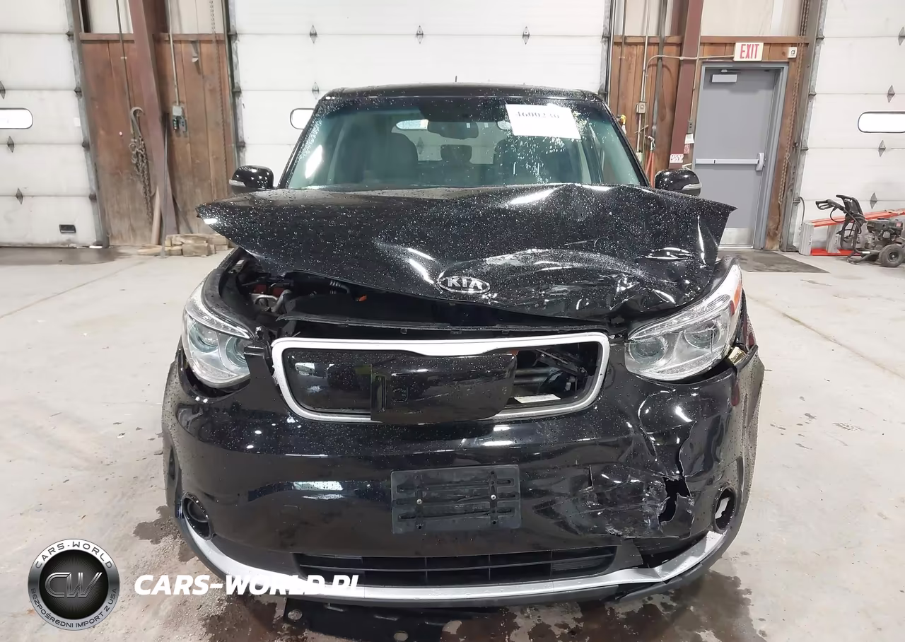 2017 Kia Soul Ev VIN:KNDJP3AE0H7025253 - 12
