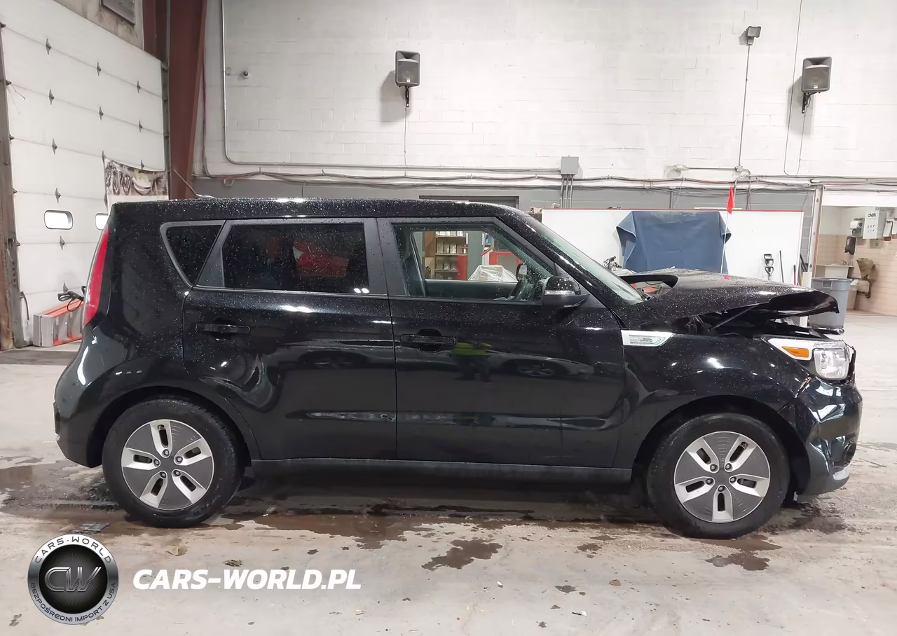 2017 Kia Soul Ev VIN:KNDJP3AE0H7025253 - 13