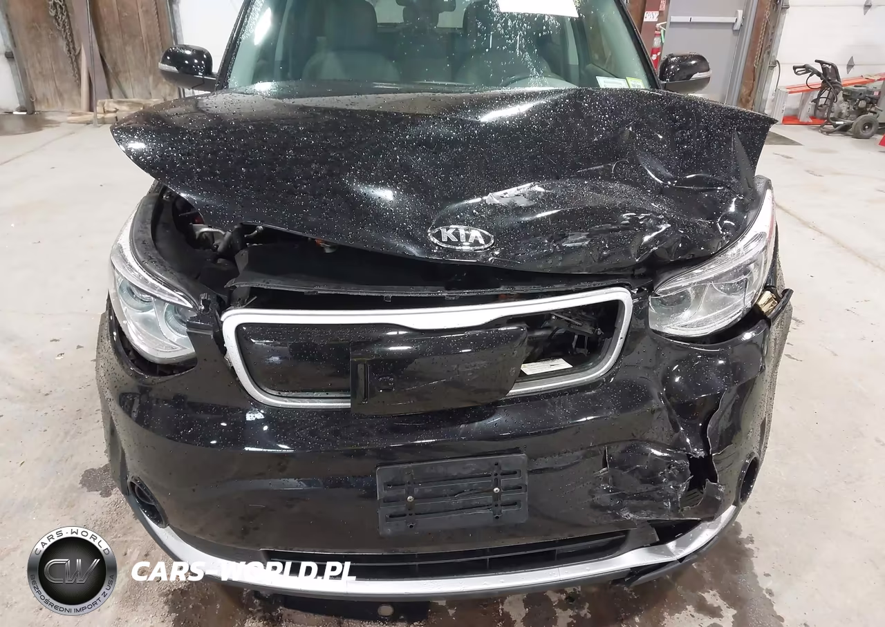 2017 Kia Soul Ev VIN:KNDJP3AE0H7025253 - 6