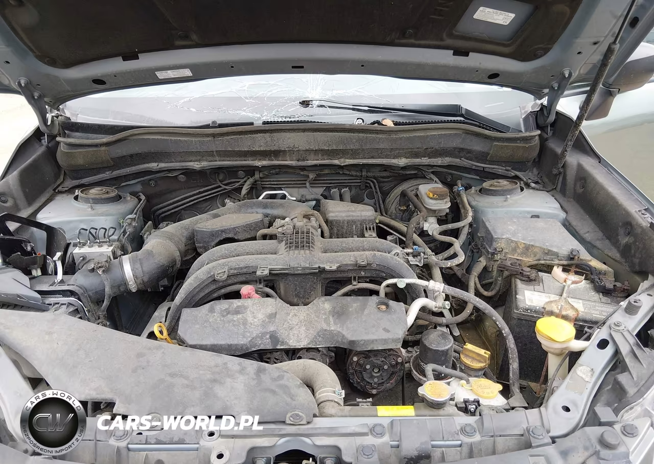 2017 Subaru Forester 2.5I VIN:JF2SJABC0HH448160 - 10
