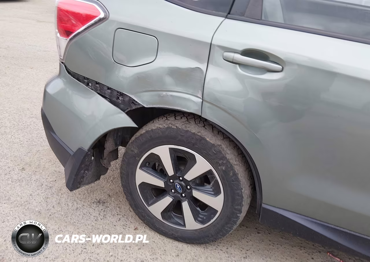 2017 Subaru Forester 2.5I VIN:JF2SJABC0HH448160 - 19