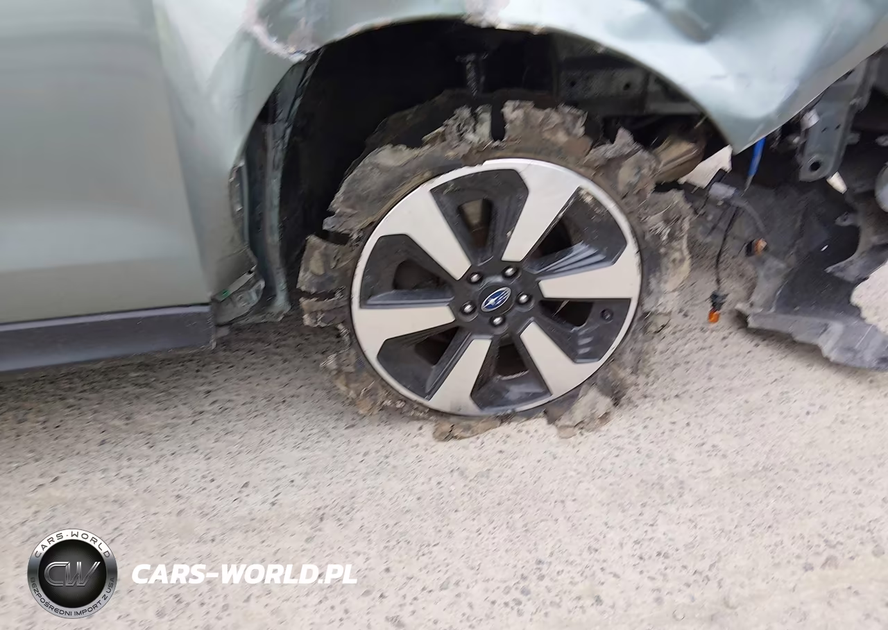 2017 Subaru Forester 2.5I VIN:JF2SJABC0HH448160 - 20