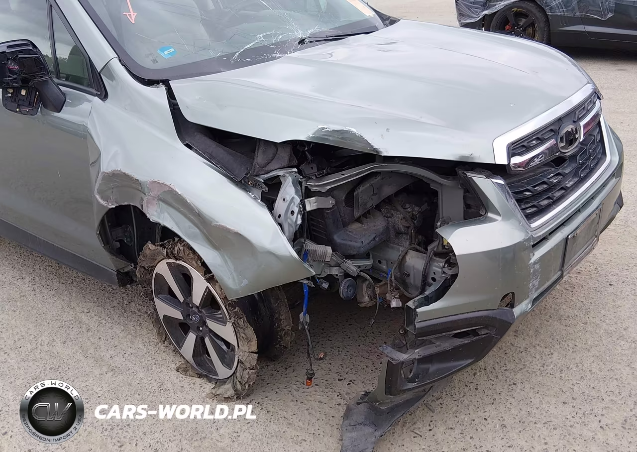 2017 Subaru Forester 2.5I VIN:JF2SJABC0HH448160 - 6