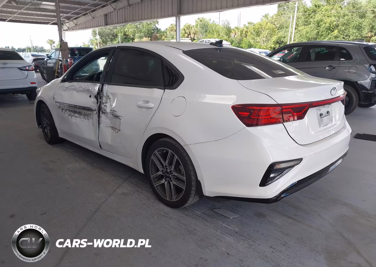 2019 Kia Forte S VIN:3KPF34AD1KE047798 - 3