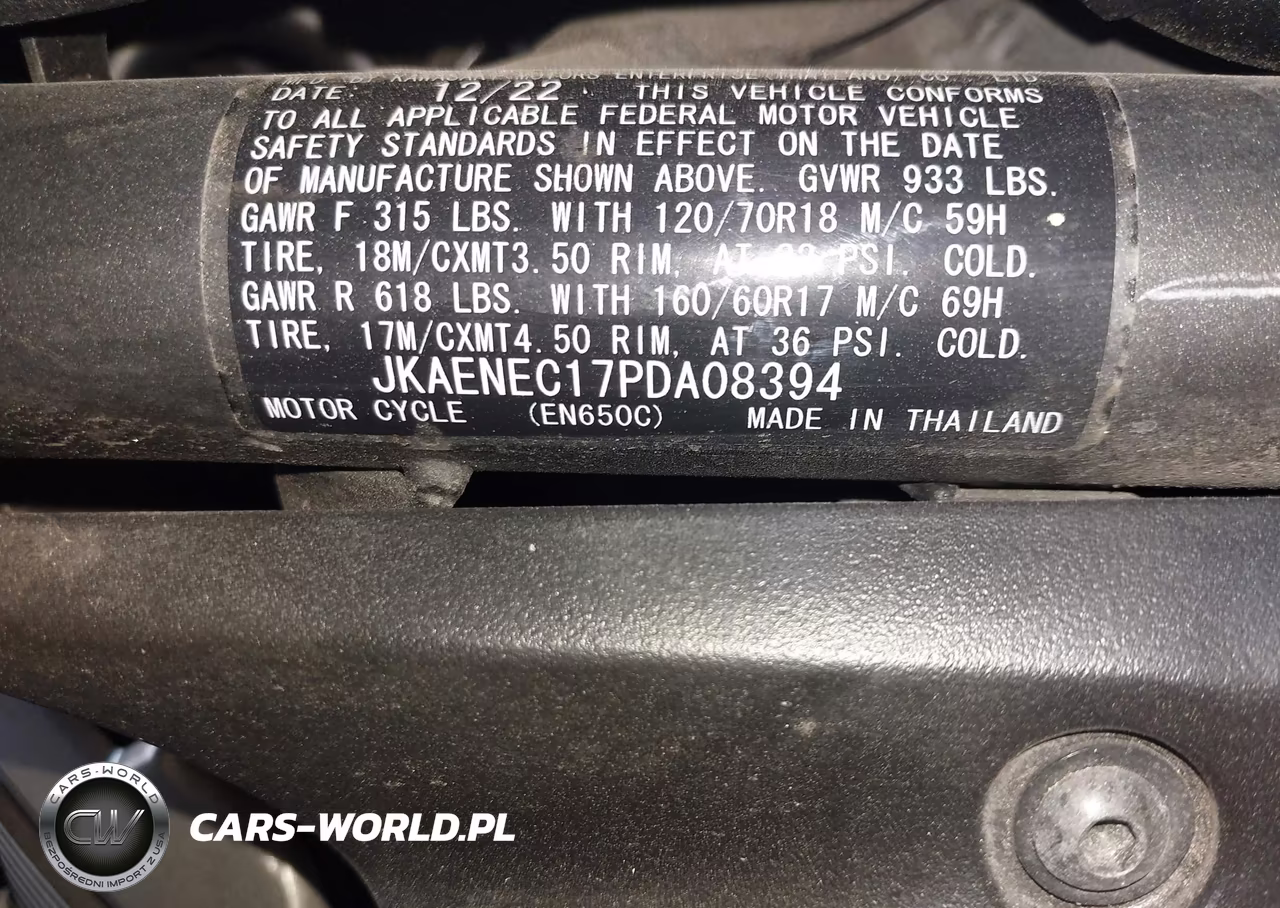 2023 Kawasaki En650 C VIN:JKAENEC17PDA08394 - 10