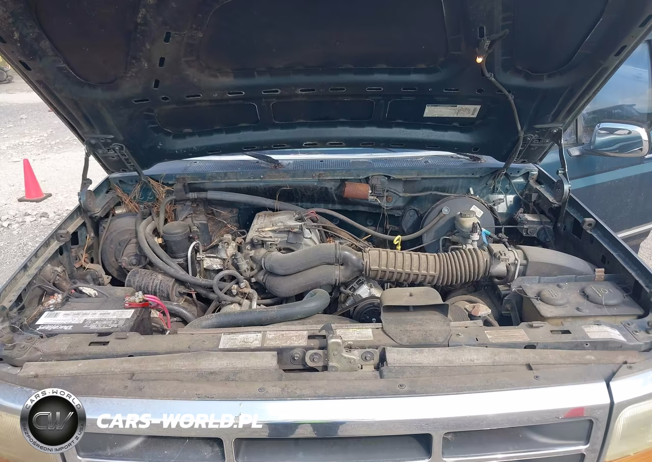 1994 Ford F150 VIN:1FTEF15N3RNA33654 - 10