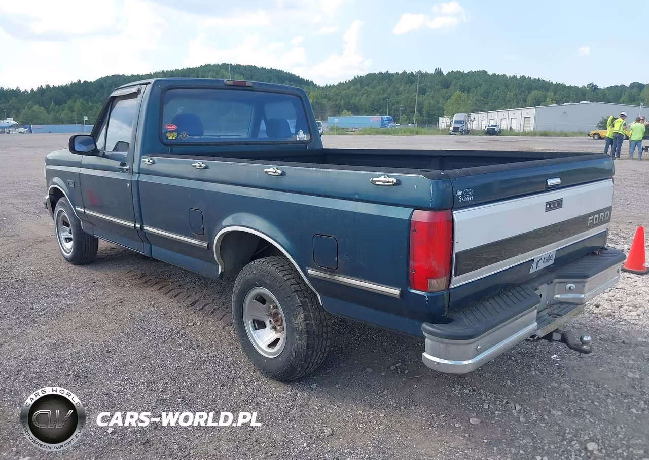 1994 Ford F150 VIN:1FTEF15N3RNA33654 - 3