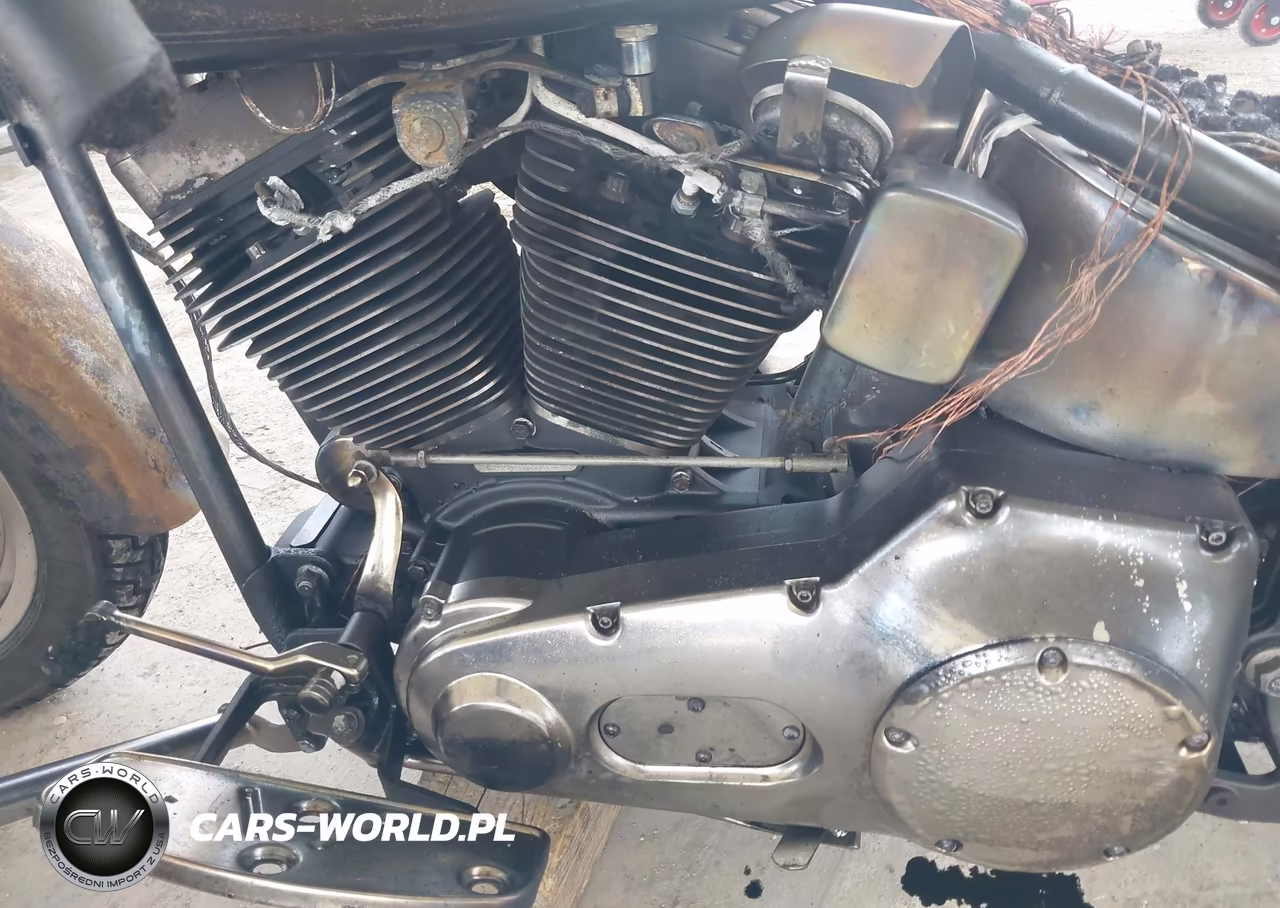 2005 Harley-Davidson Flstfi VIN:1HD1BXB385Y061263 - 9