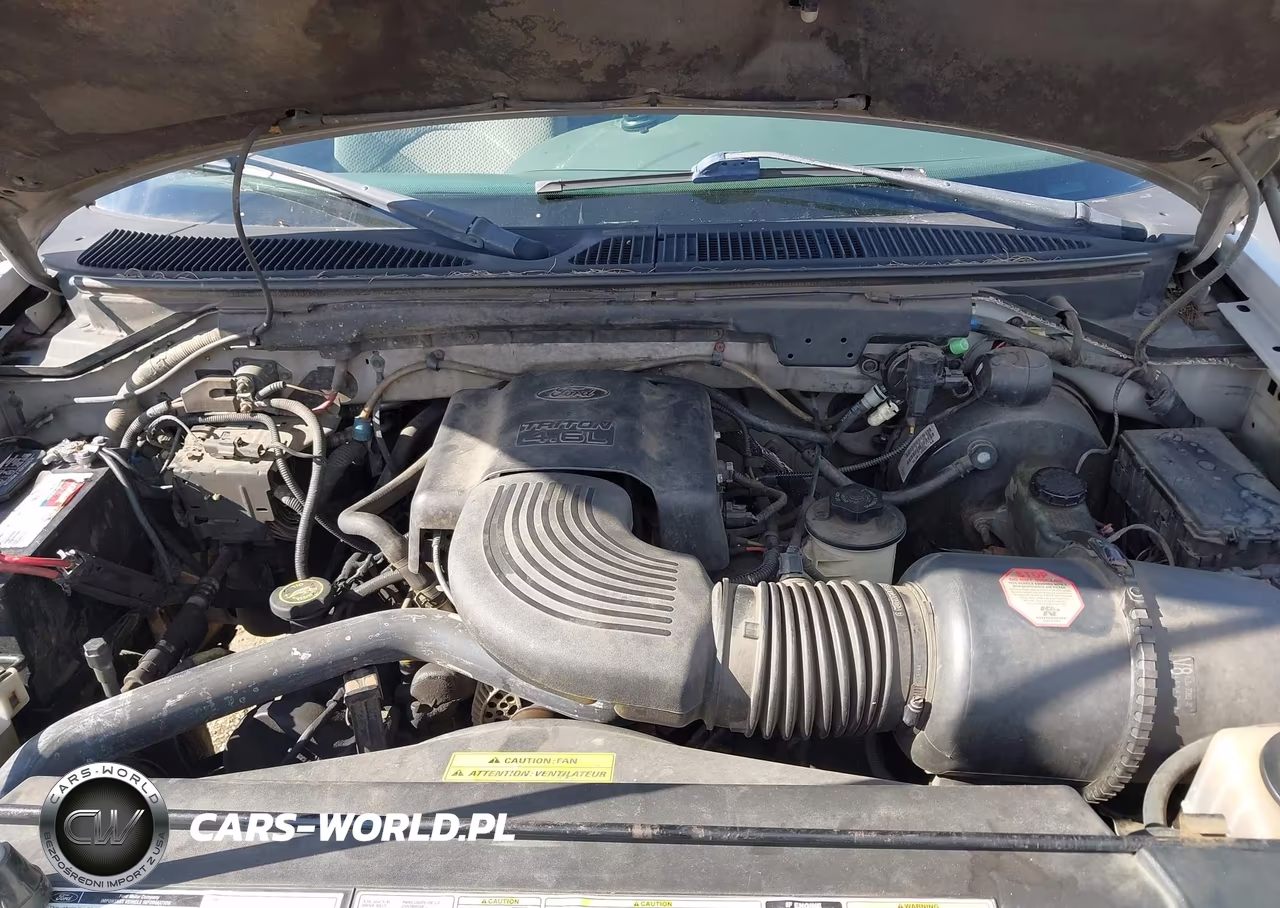 2000 Ford F-150 Lariat-Work Series-Xl-Xlt VIN:1FTRX17W1YNC03285 - 10