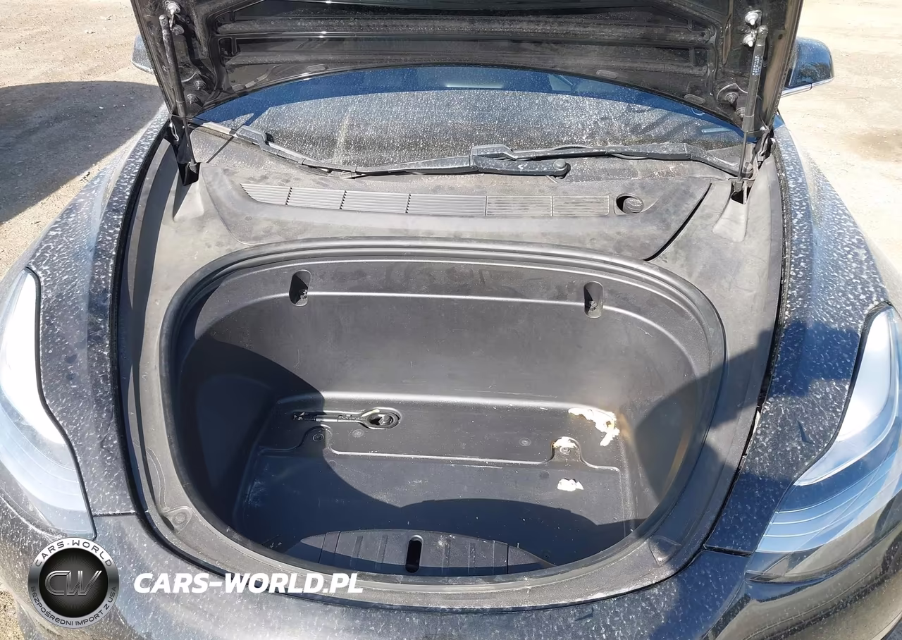 2020 Tesla Model 3 VIN:5YJ3E1EB2LF600815 - 10