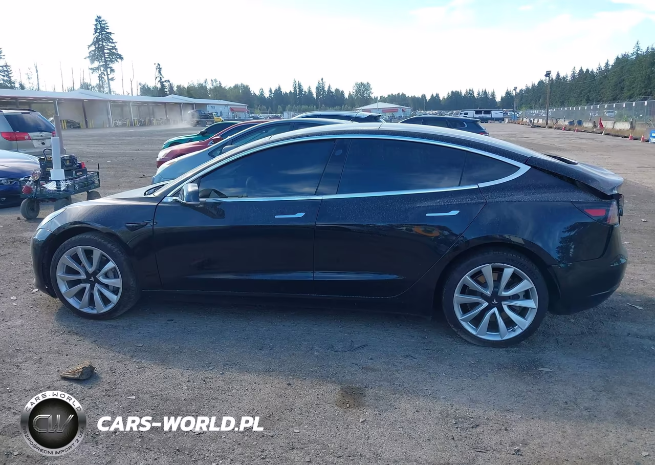 2020 Tesla Model 3 VIN:5YJ3E1EB2LF600815 - 14
