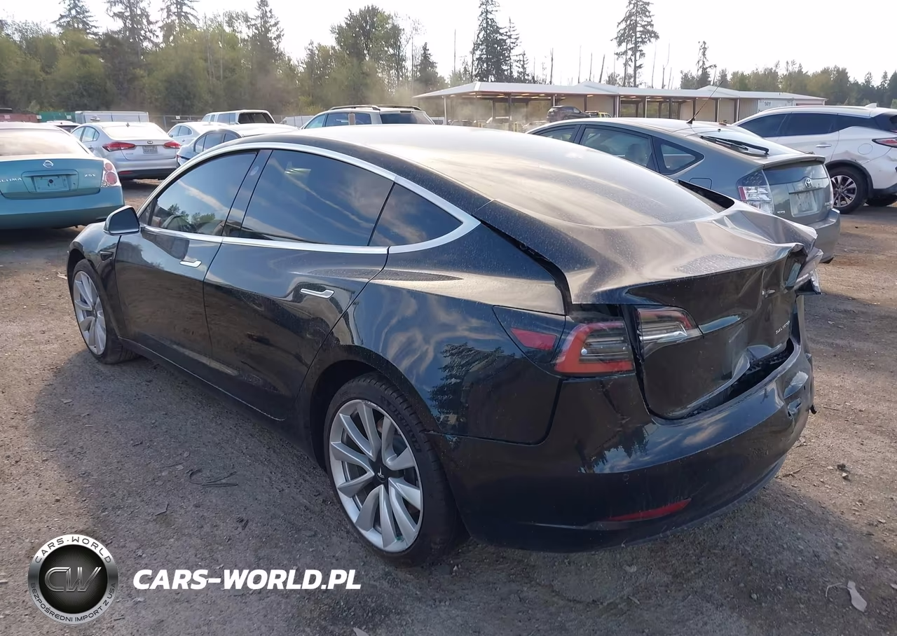 2020 Tesla Model 3 VIN:5YJ3E1EB2LF600815 - 3