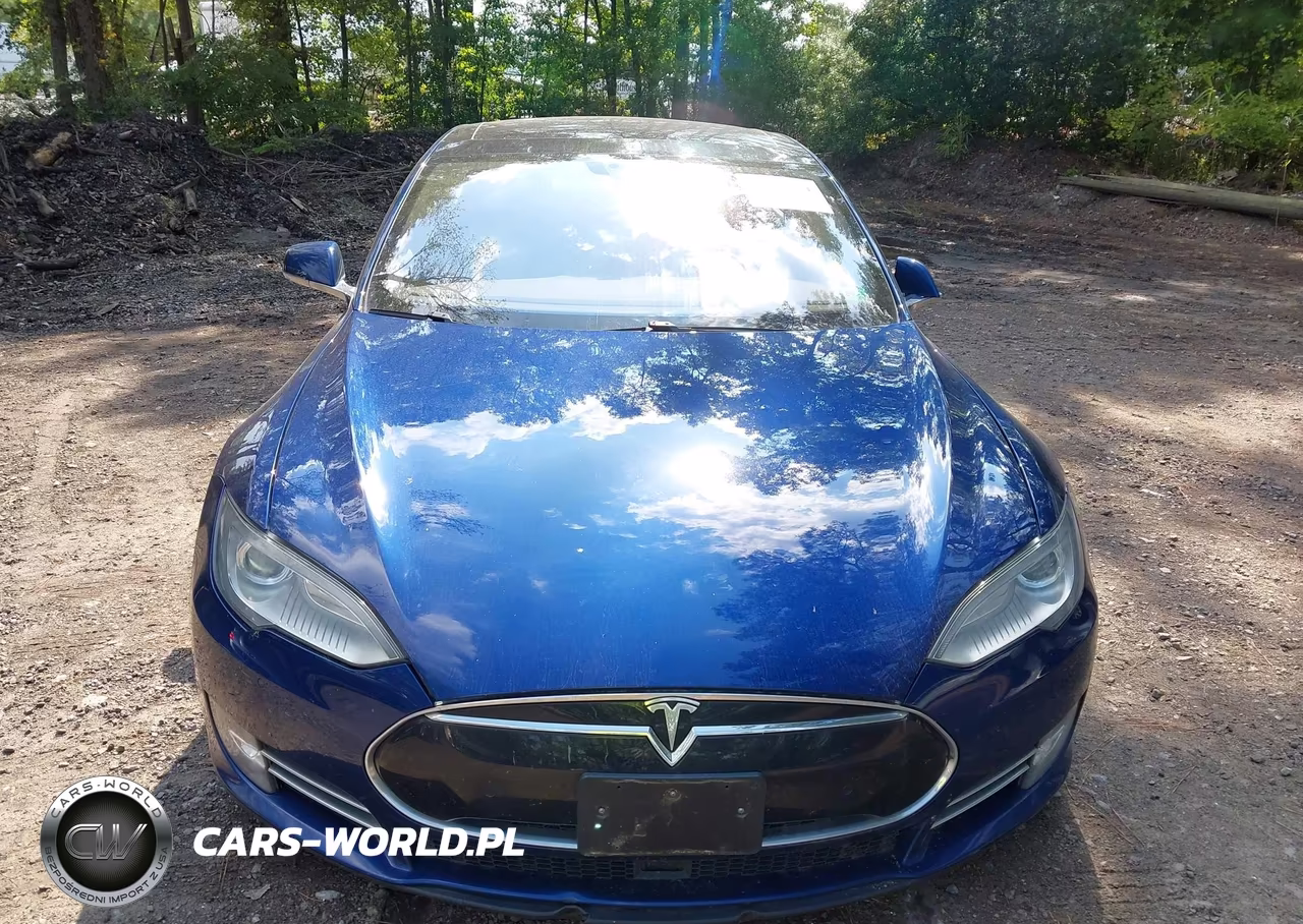 2016 Tesla Model S 60D-70D-75D-85D-90D VIN:5YJSA1E27GF136529 - 12
