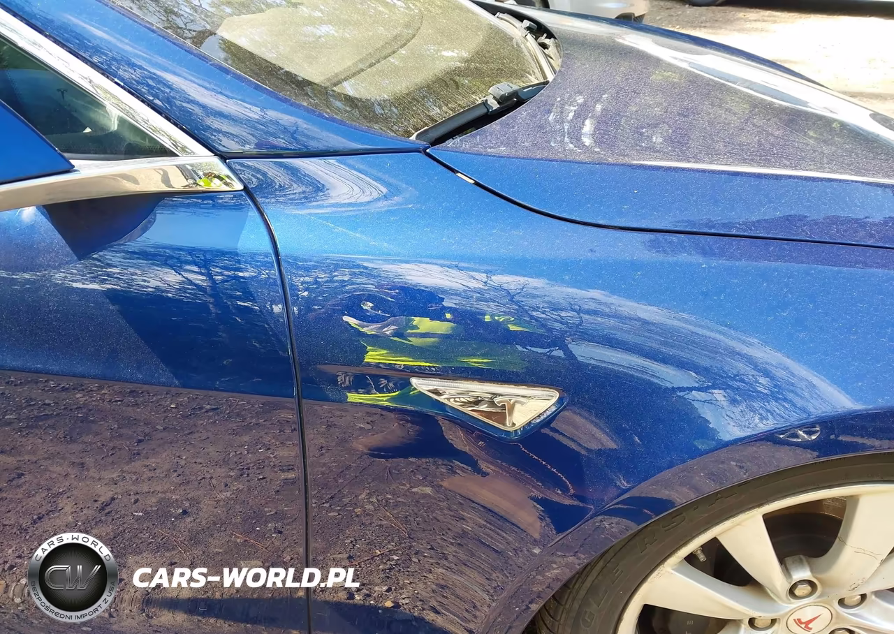 2016 Tesla Model S 60D-70D-75D-85D-90D VIN:5YJSA1E27GF136529 - 19