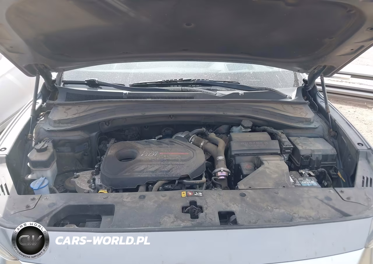 2019 Hyundai Santa Fe Ultimate 2.0T VIN:5NMS53AA2KH129203 - 10