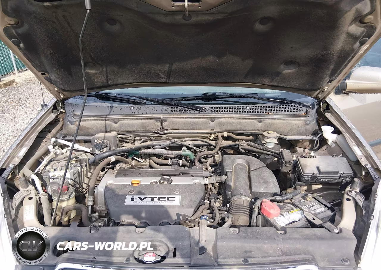 2006 Honda Cr-V Ex VIN:JHLRD68876C012259 - 10