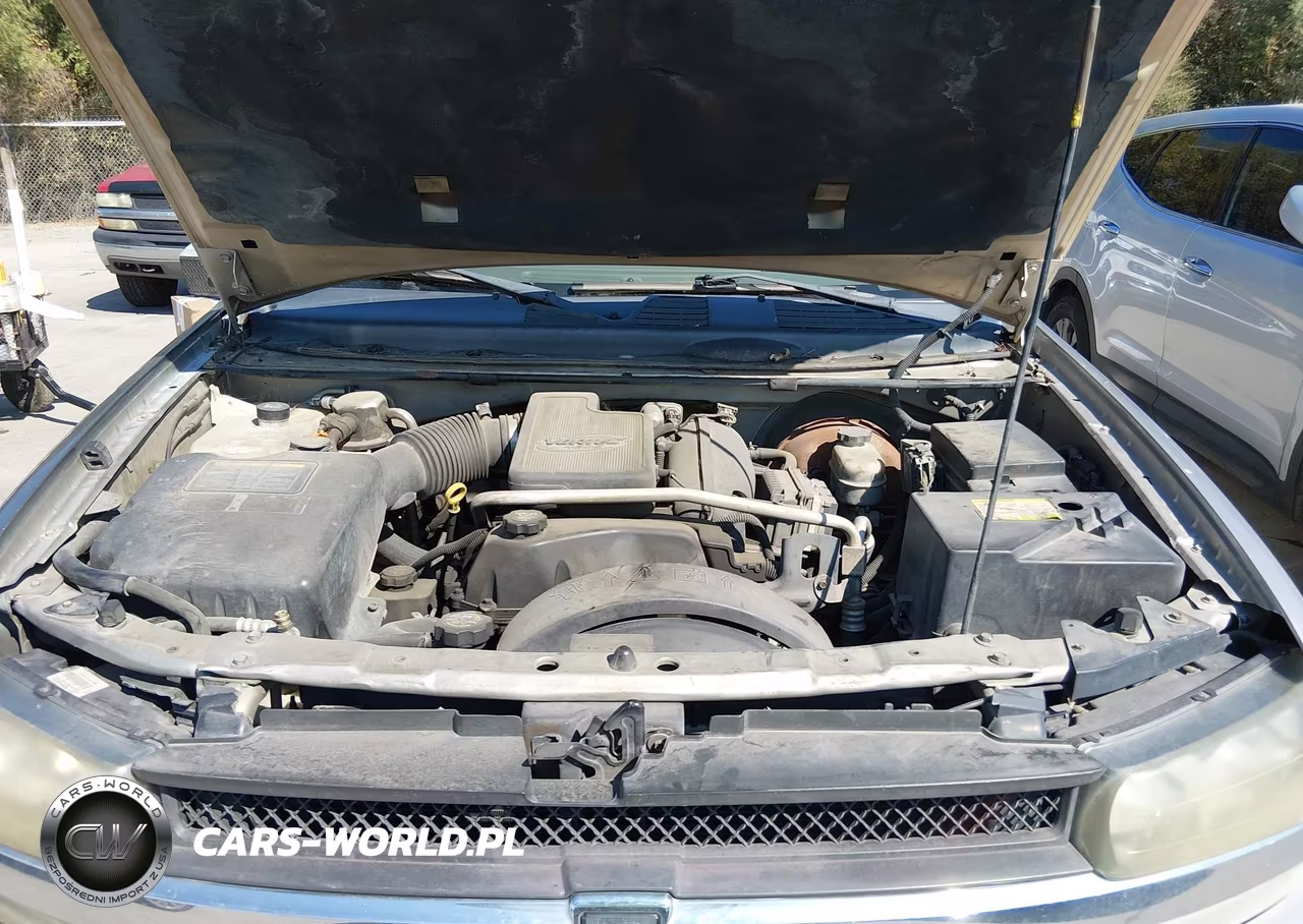 2004 Chevrolet Trailblazer Ext Ls VIN:1GNES16S146195762 - 10