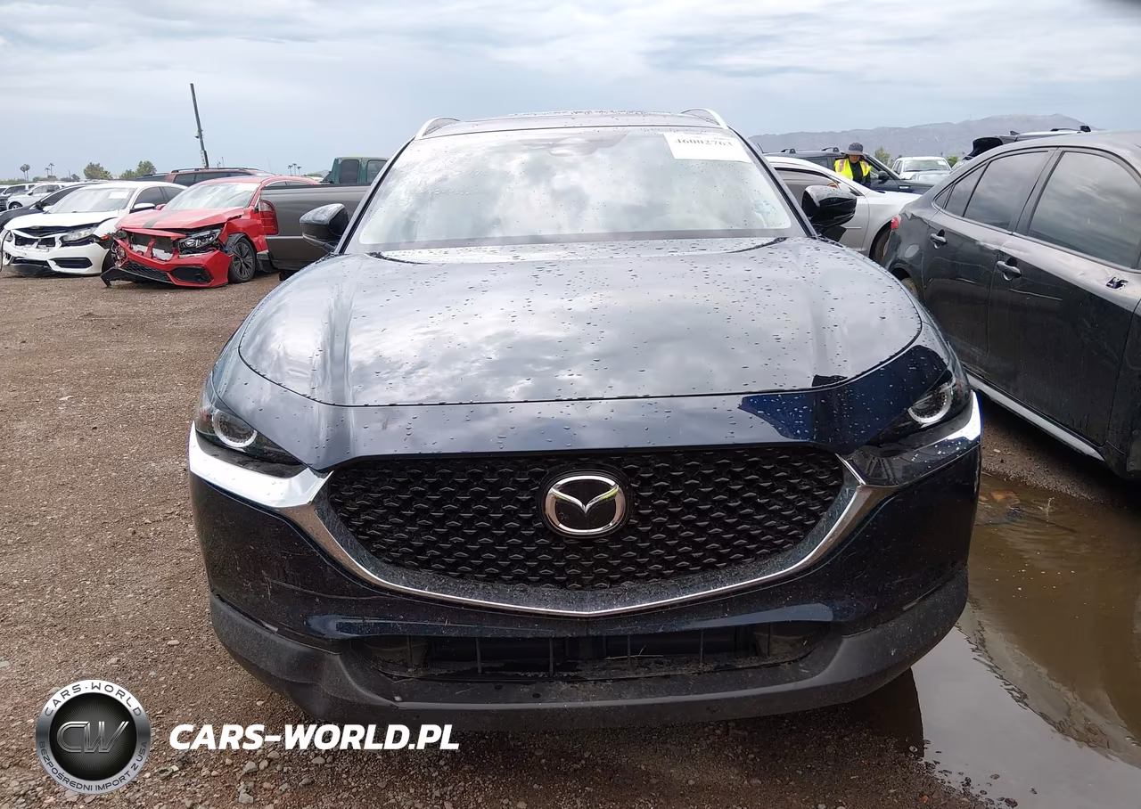 2025 Mazda Cx-30 2.5 S Preferred Package VIN:3MVDMBCM6SM827547 - 12