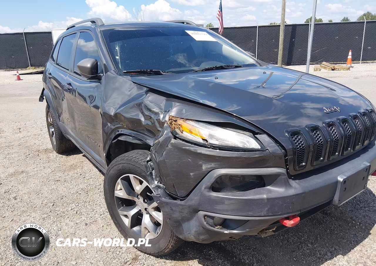 2014 Jeep Cherokee Trailhawk VIN:1C4PJMBS4EW250010 - 6