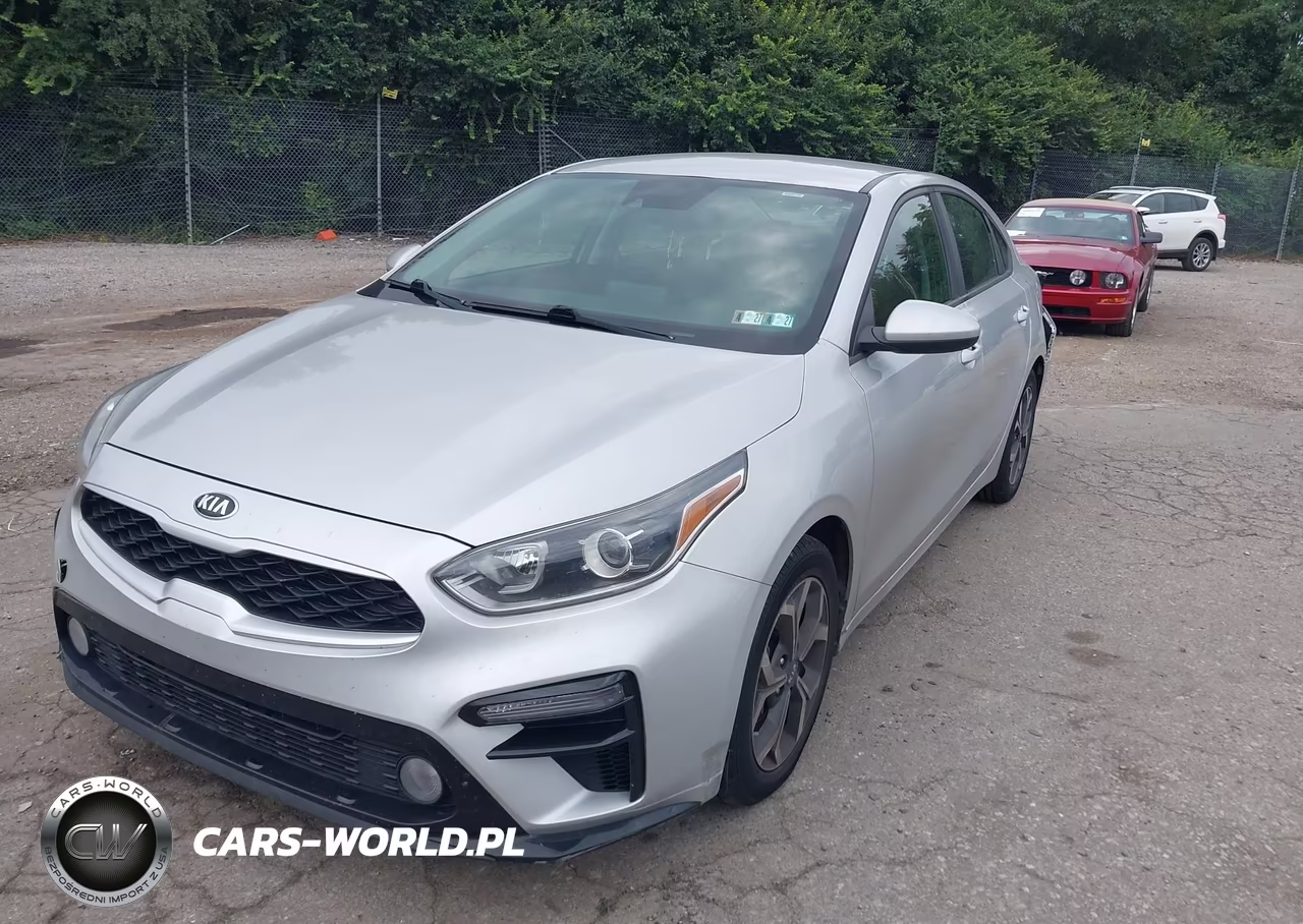 2019 Kia Forte Lxs VIN:3KPF24AD5KE100134 - 2