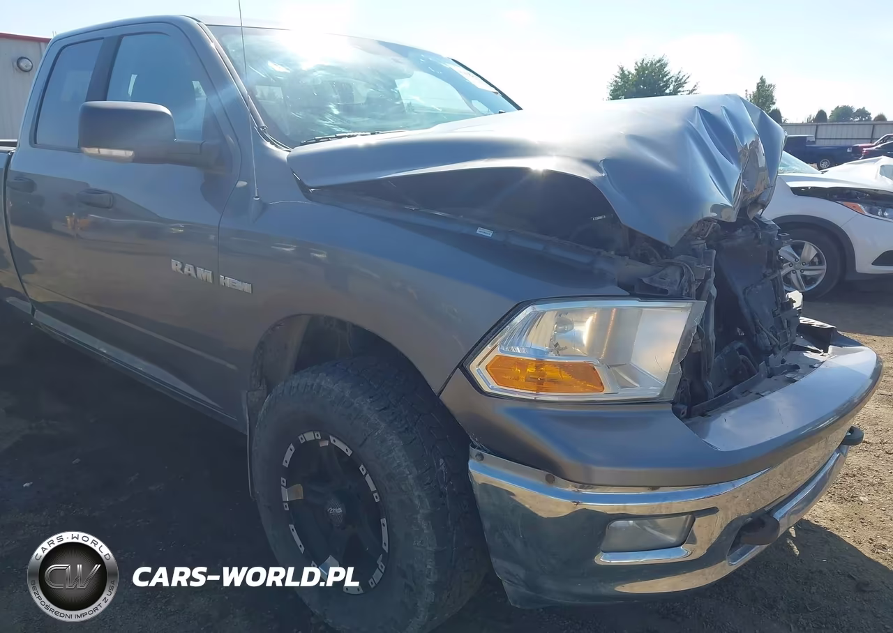 2009 Dodge Ram 1500 Slt-Sport VIN:1D3HV18T89S823891 - 18