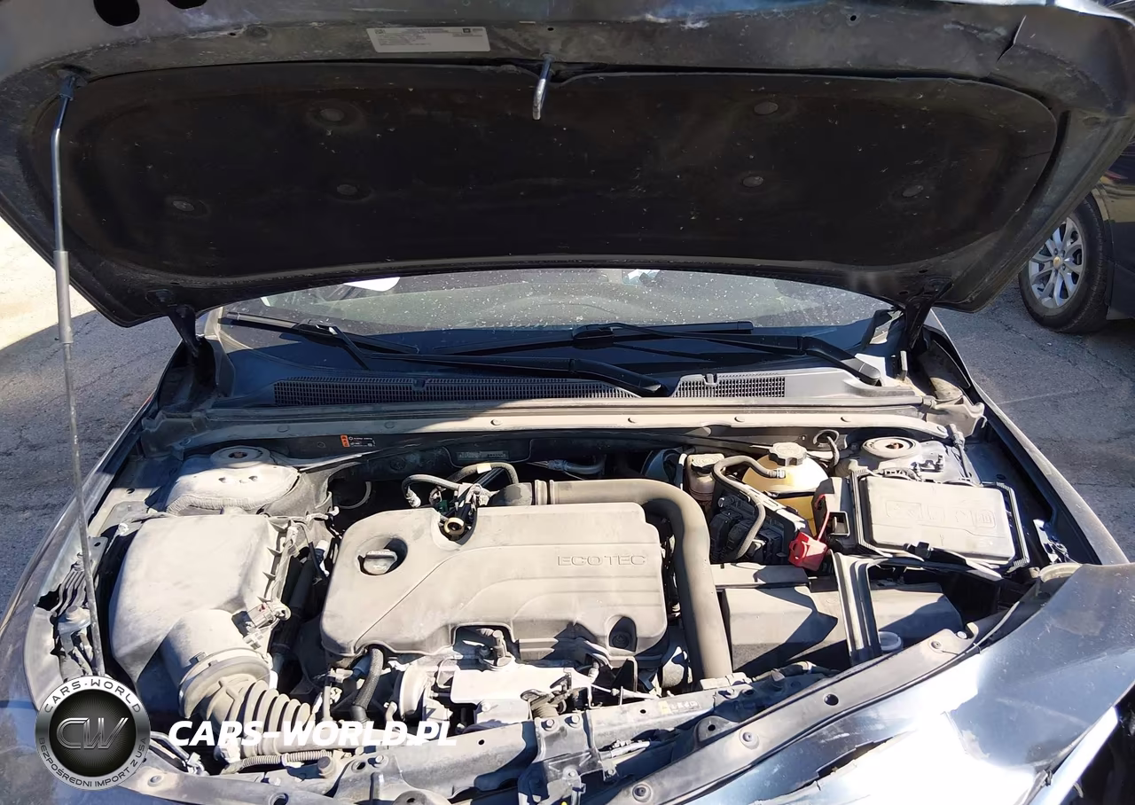 2019 Chevrolet Malibu Lt VIN:1G1ZD5ST0KF133320 - 10