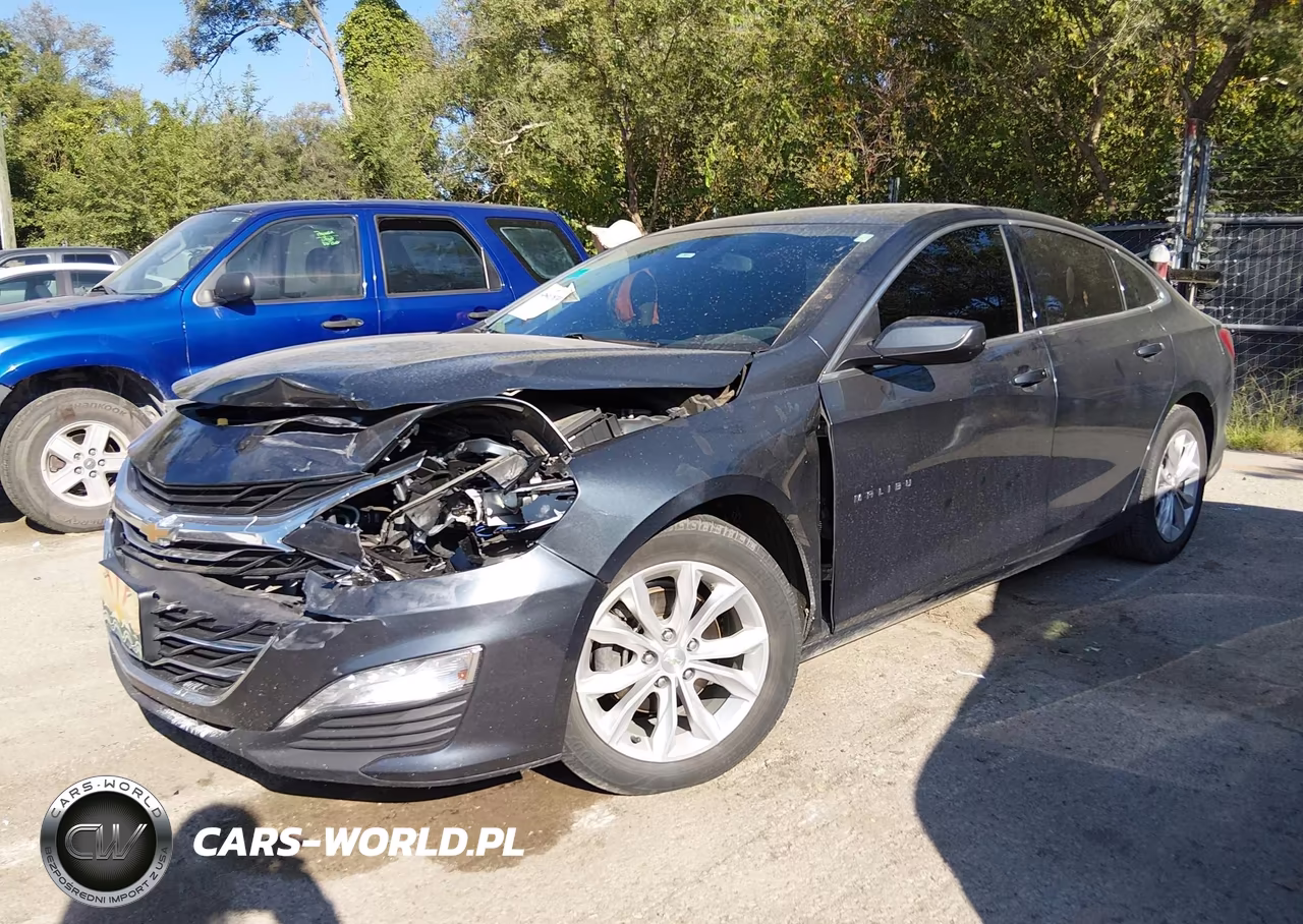 2019 Chevrolet Malibu Lt VIN:1G1ZD5ST0KF133320 - 2