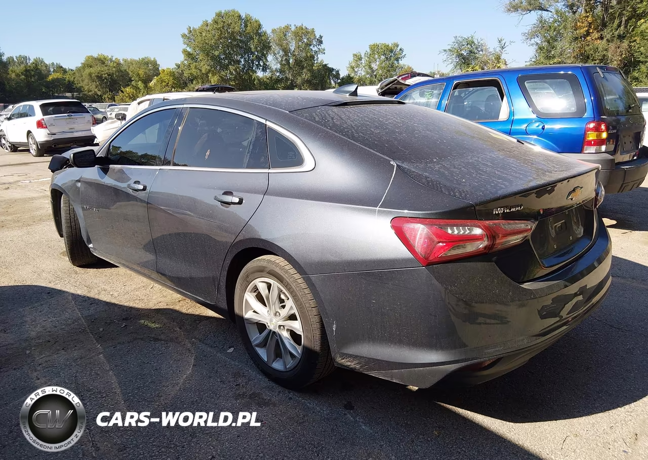 2019 Chevrolet Malibu Lt VIN:1G1ZD5ST0KF133320 - 3