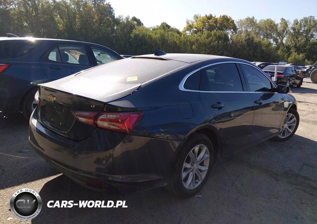 2019 Chevrolet Malibu Lt VIN:1G1ZD5ST0KF133320 - 4