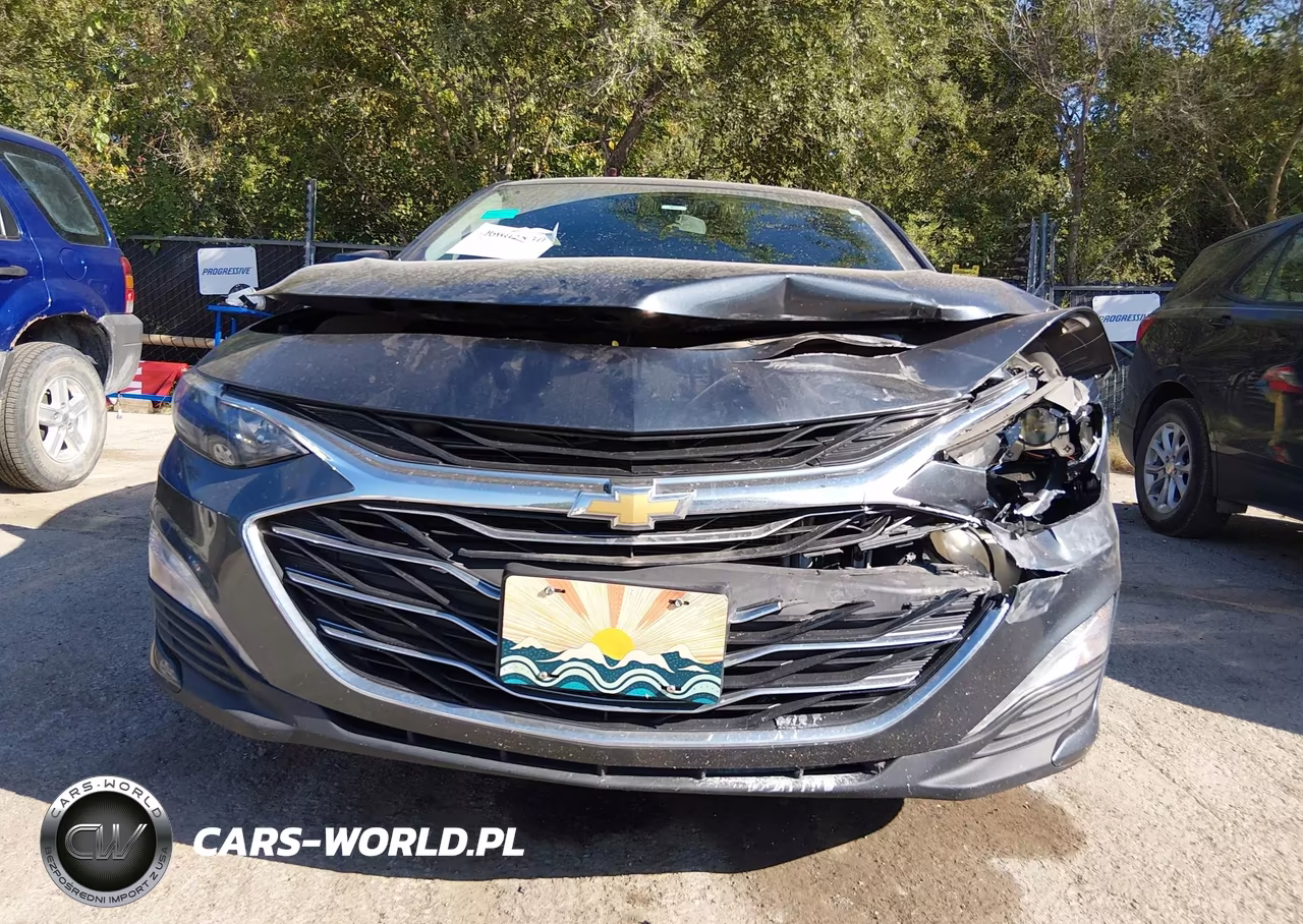 2019 Chevrolet Malibu Lt VIN:1G1ZD5ST0KF133320 - 6