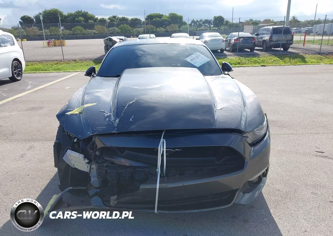 2015 Ford Mustang Gt Premium VIN:1FA6P8CF1F5316870 - 12