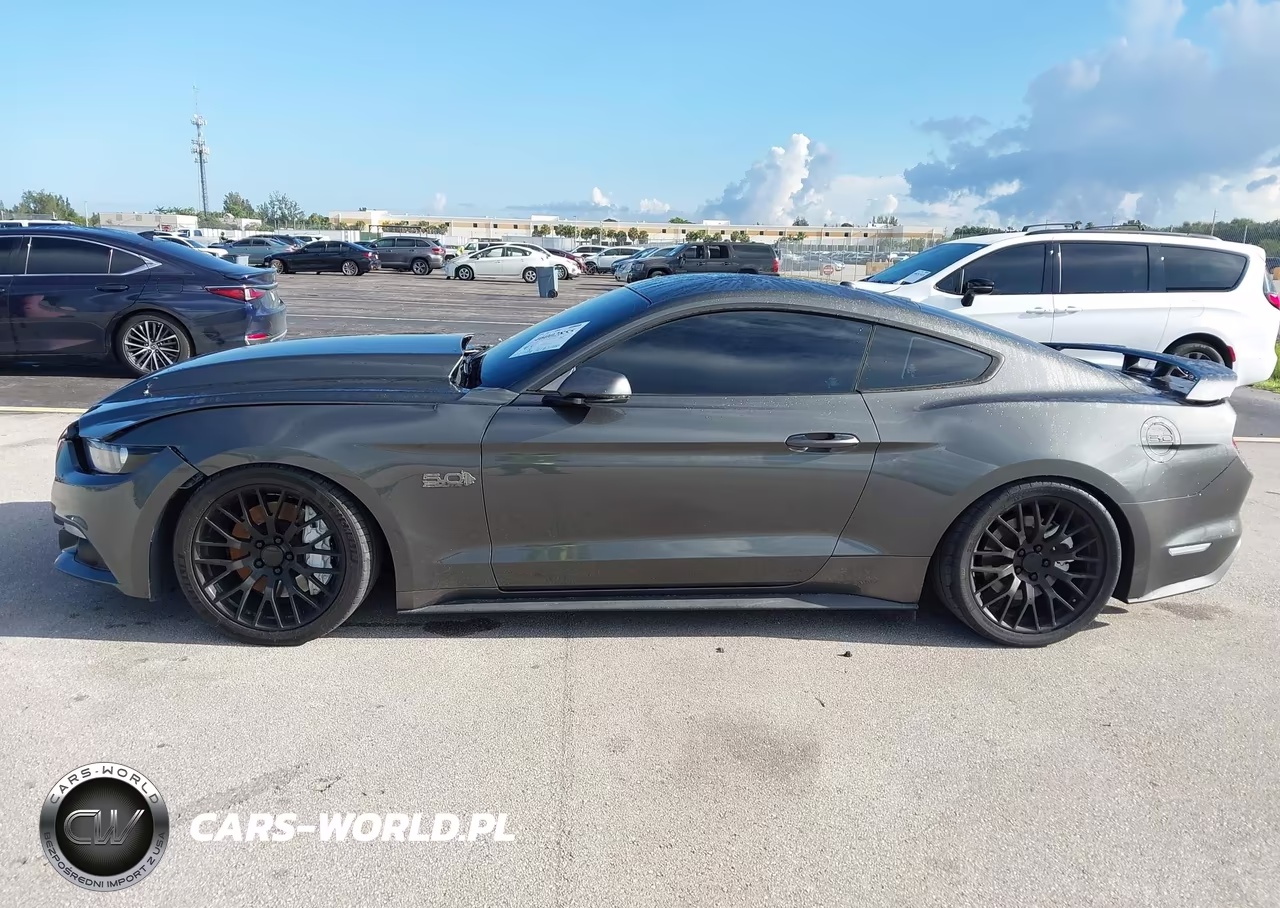 2015 Ford Mustang Gt Premium VIN:1FA6P8CF1F5316870 - 14