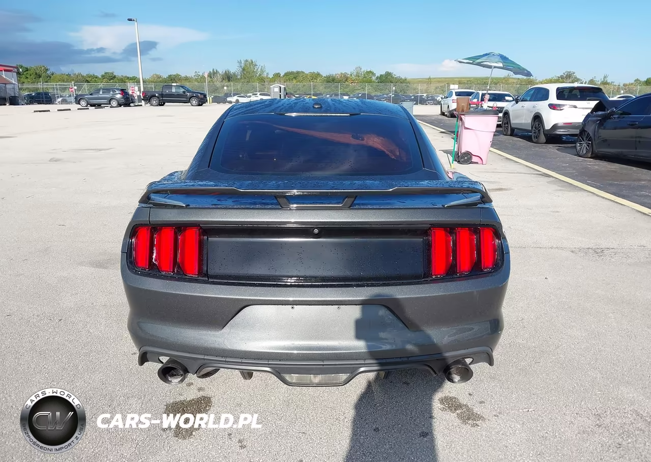 2015 Ford Mustang Gt Premium VIN:1FA6P8CF1F5316870 - 16
