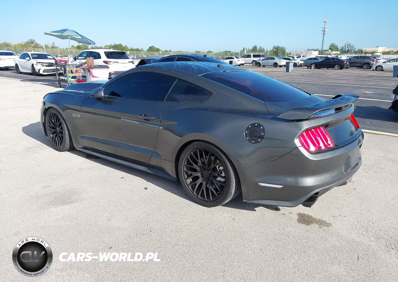 2015 Ford Mustang Gt Premium VIN:1FA6P8CF1F5316870 - 3