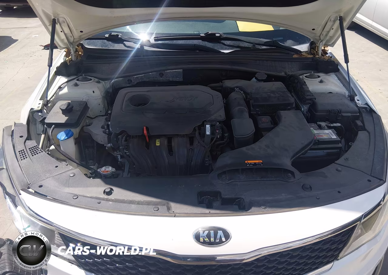 2016 Kia Optima Lx VIN:KNAGT4L39G5086552 - 10