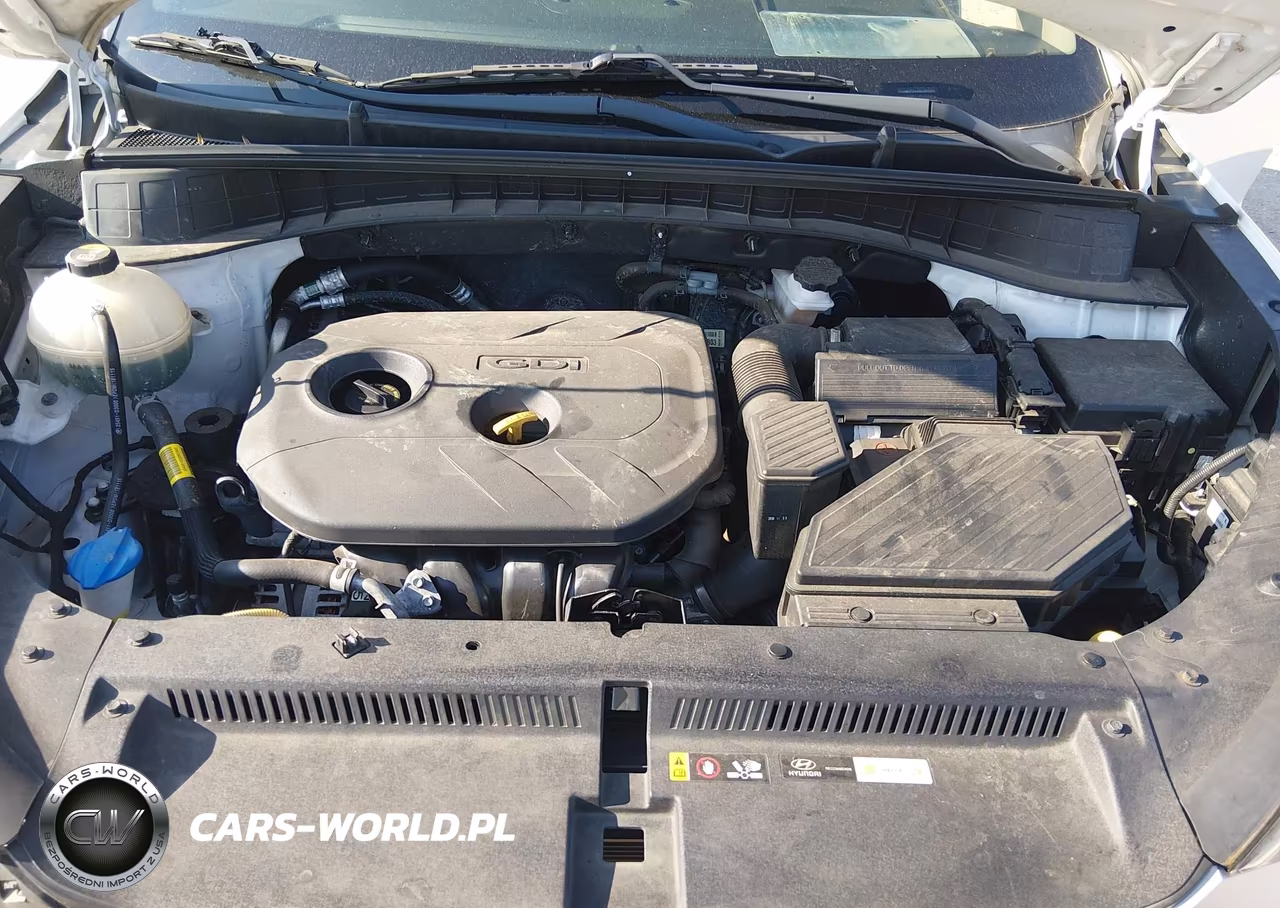 2019 Hyundai Tucson Value VIN:KM8J33A48KU905205 - 10