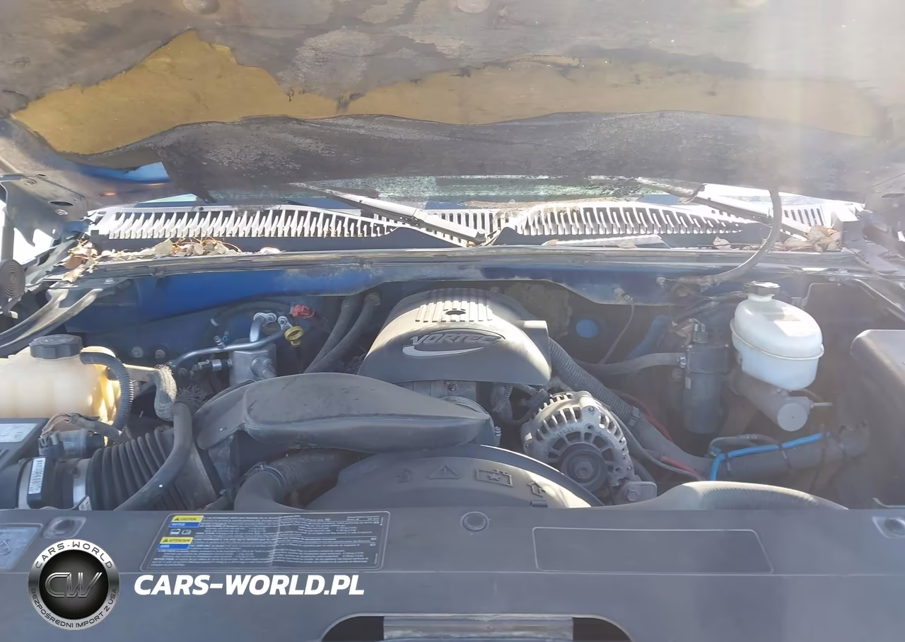 2004 Chevrolet Silverado 1500 Ls VIN:2GCEC19V141387797 - 10