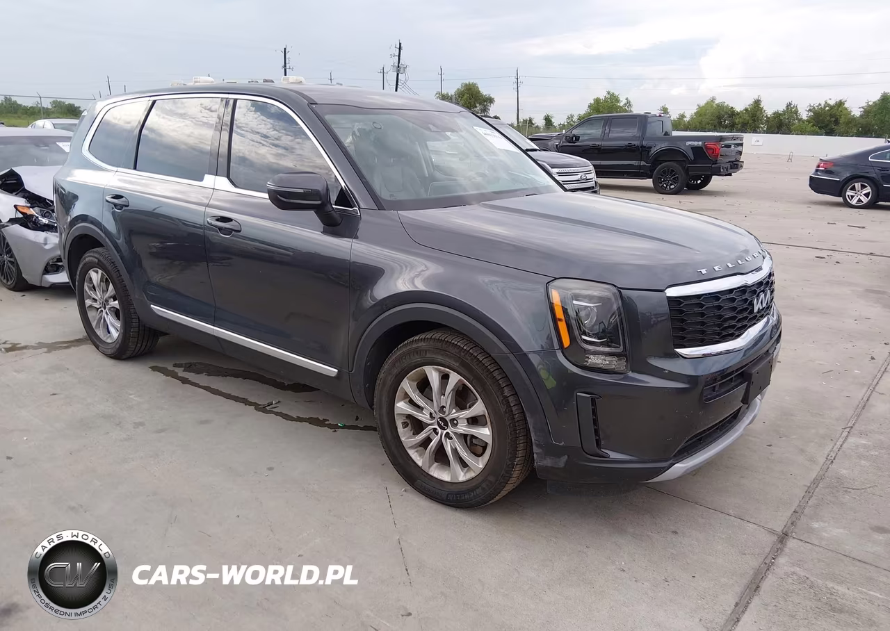 2022 Kia Telluride Lx VIN:5XYP2DHC0NG294290 - 1