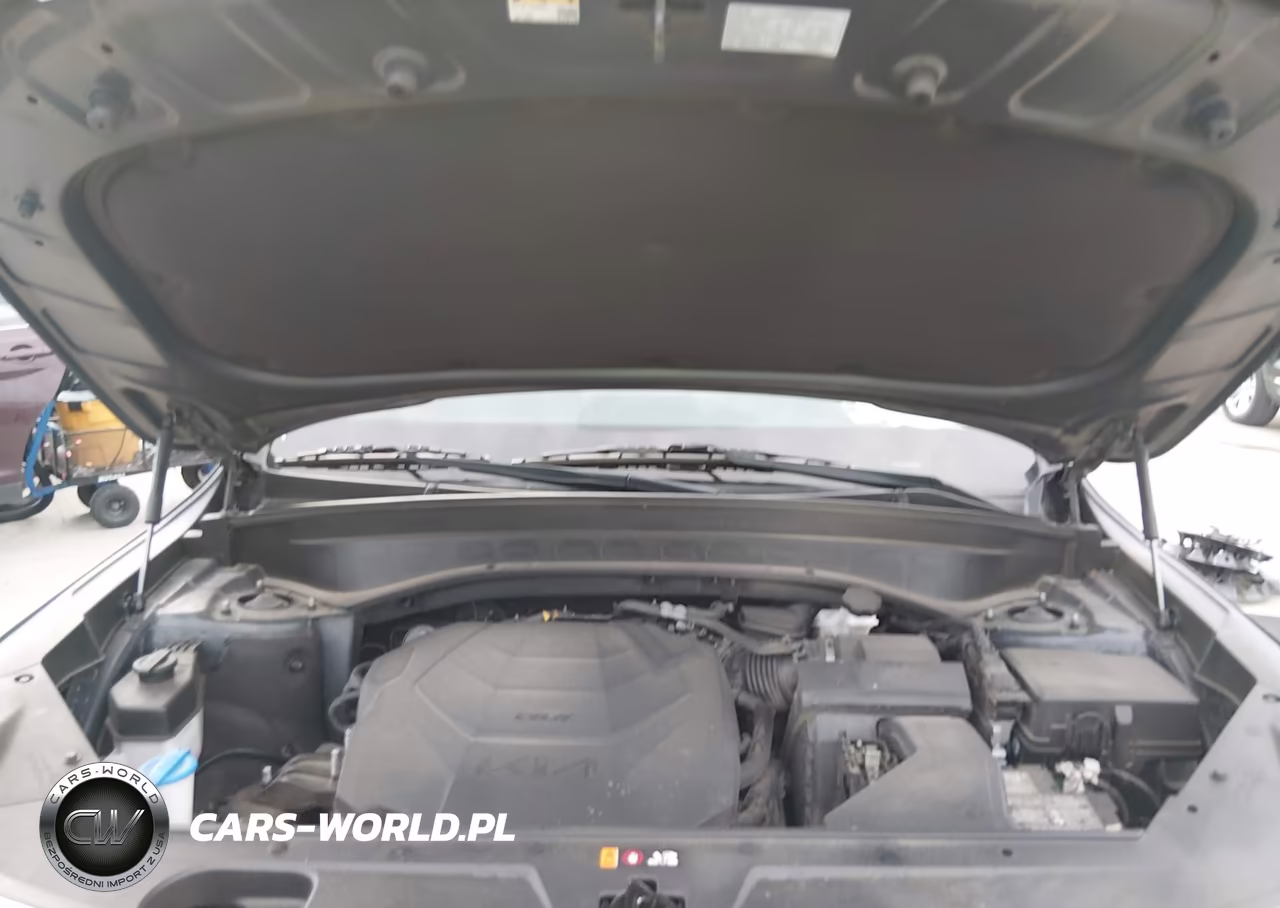 2022 Kia Telluride Lx VIN:5XYP2DHC0NG294290 - 10