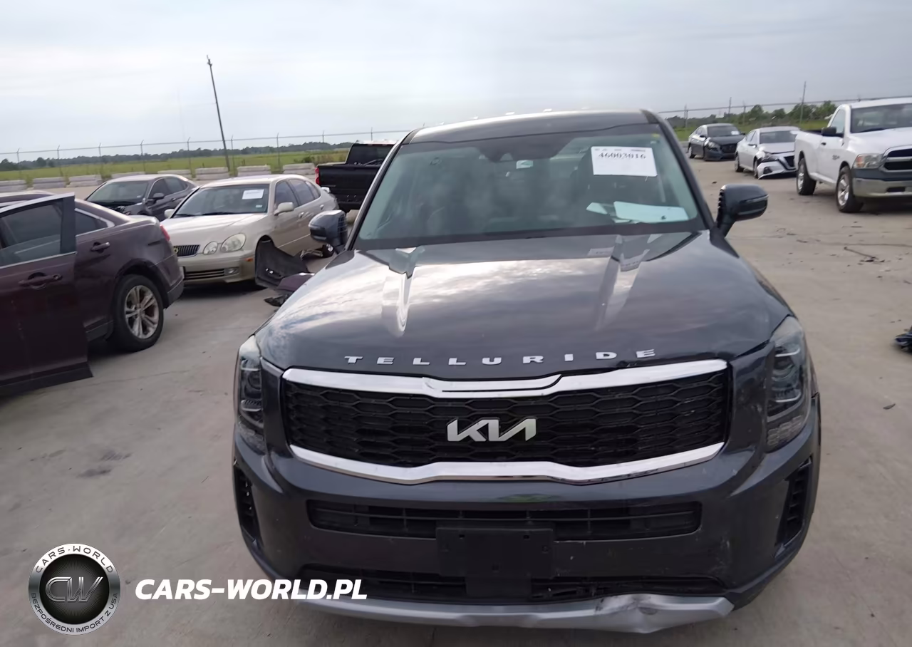 2022 Kia Telluride Lx VIN:5XYP2DHC0NG294290 - 12
