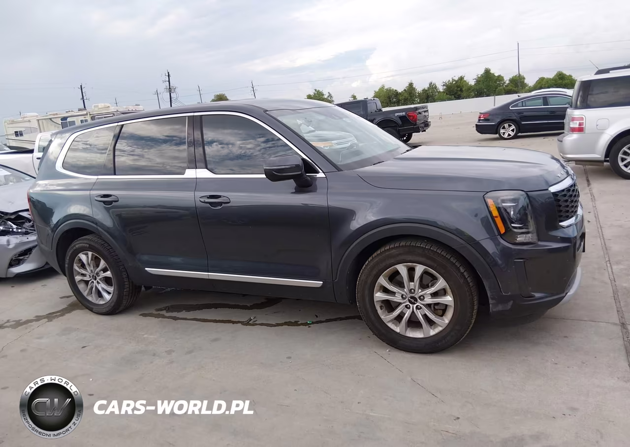 2022 Kia Telluride Lx VIN:5XYP2DHC0NG294290 - 13