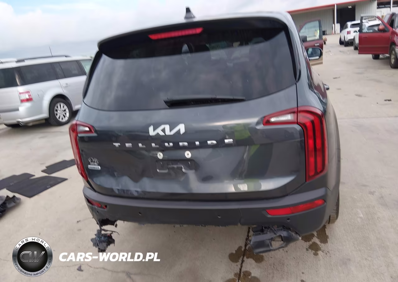 2022 Kia Telluride Lx VIN:5XYP2DHC0NG294290 - 16