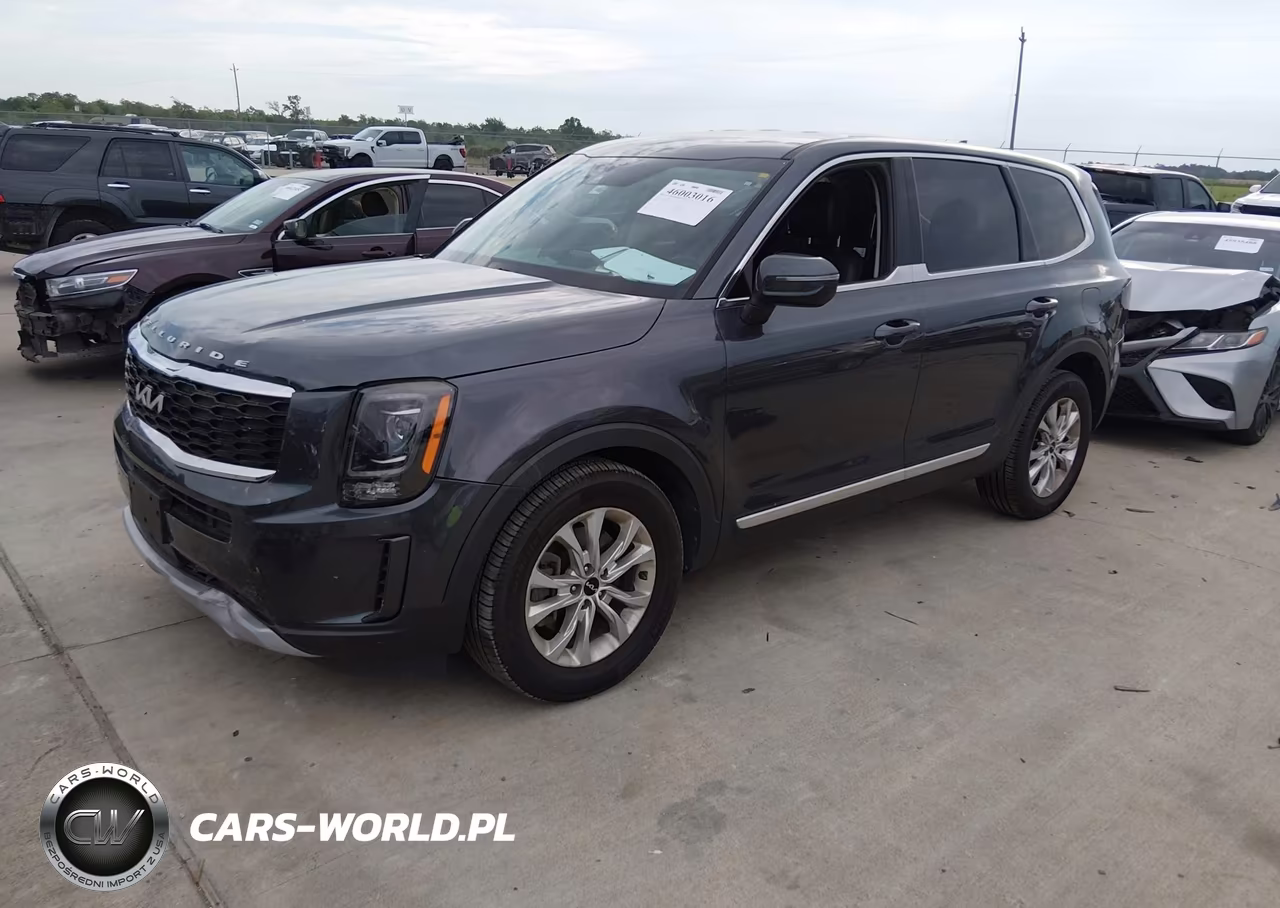 2022 Kia Telluride Lx VIN:5XYP2DHC0NG294290 - 2