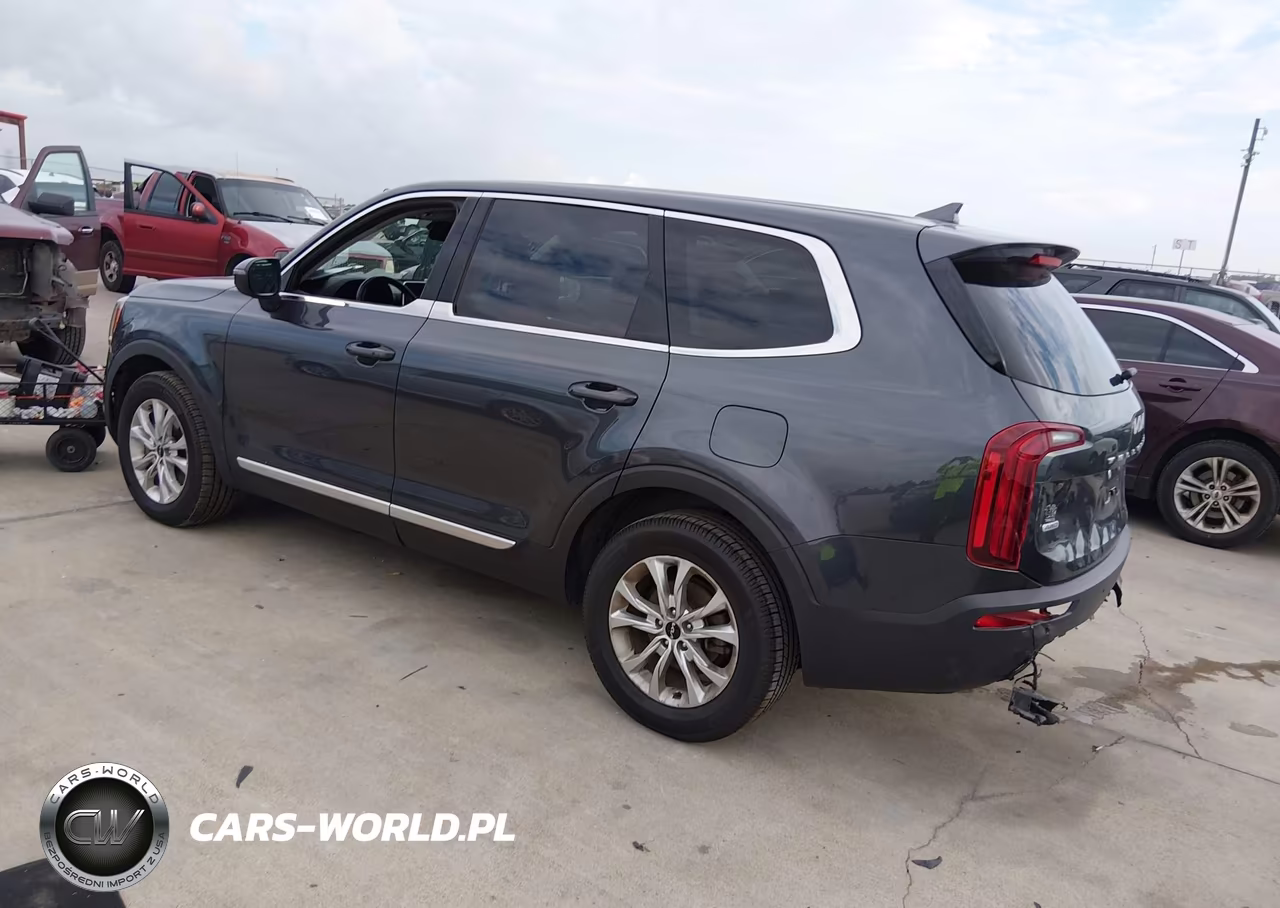 2022 Kia Telluride Lx VIN:5XYP2DHC0NG294290 - 3