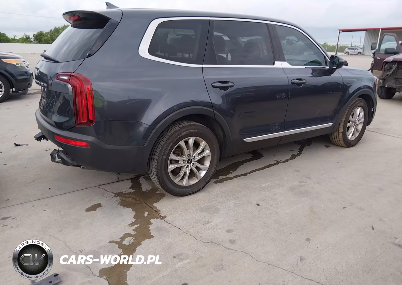 2022 Kia Telluride Lx VIN:5XYP2DHC0NG294290 - 4
