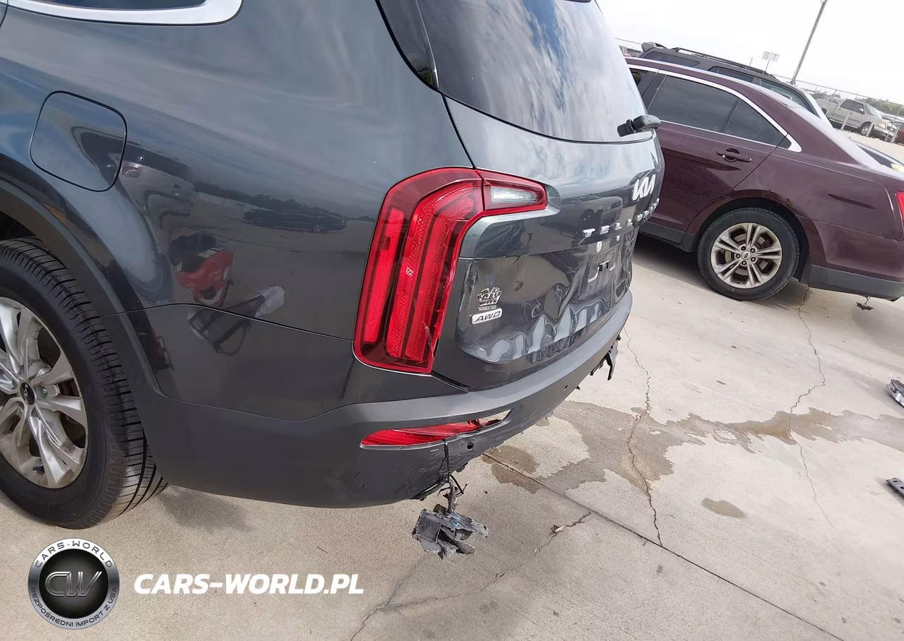 2022 Kia Telluride Lx VIN:5XYP2DHC0NG294290 - 6