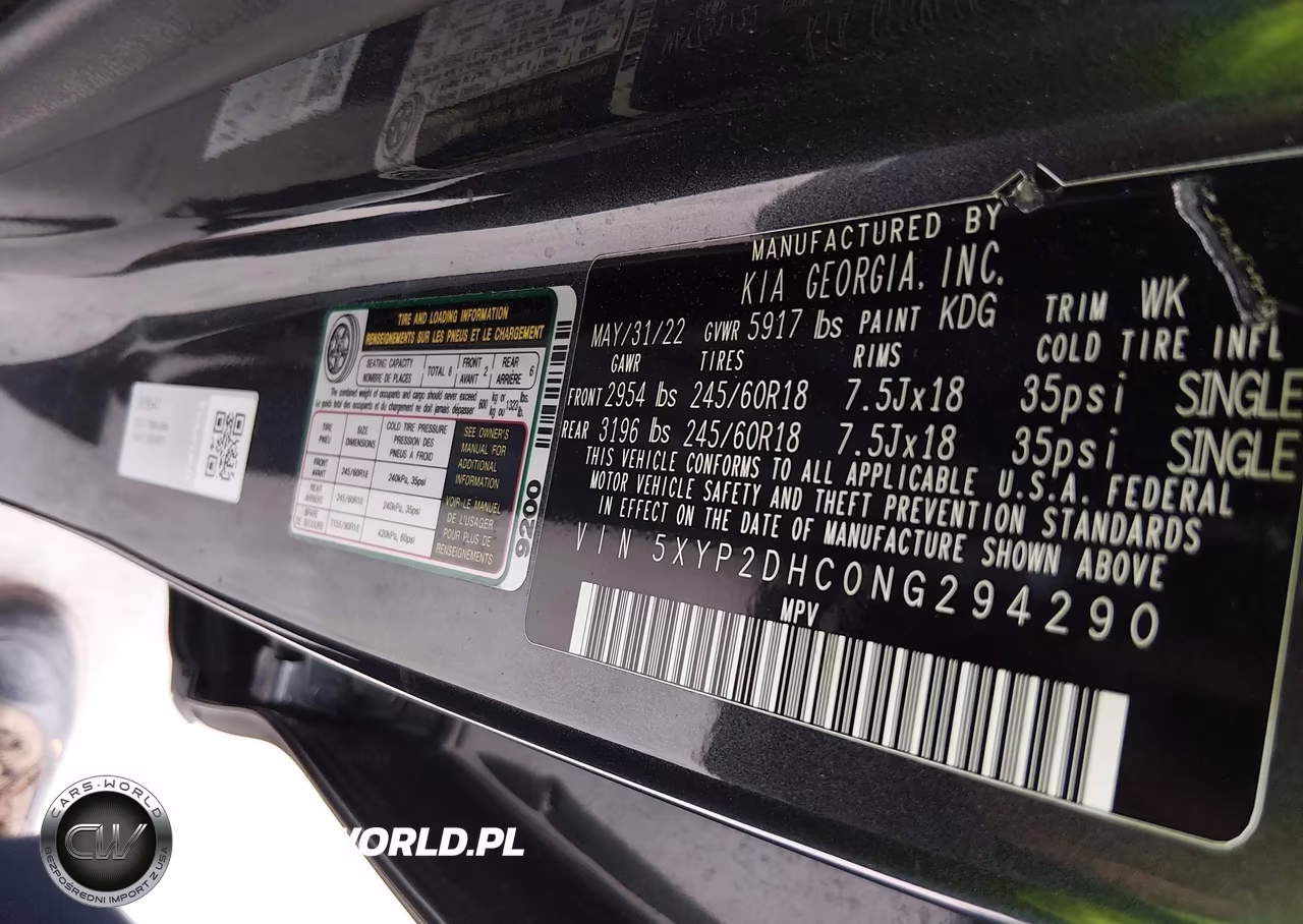 2022 Kia Telluride Lx VIN:5XYP2DHC0NG294290 - 9