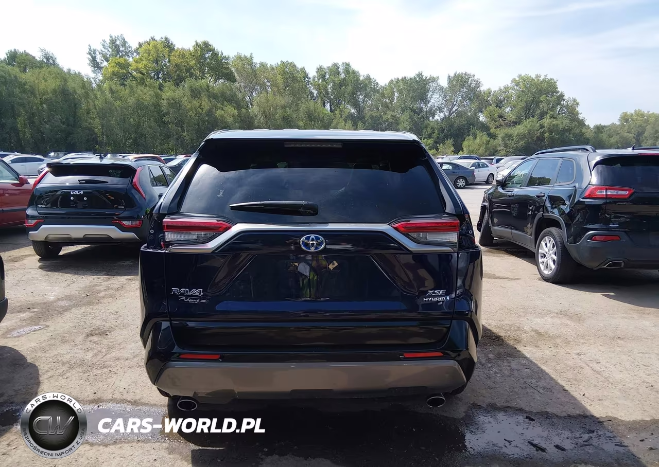 2020 Toyota Rav4 Hybrid Xse VIN:JTMEWRFV6LJ047172 - 17